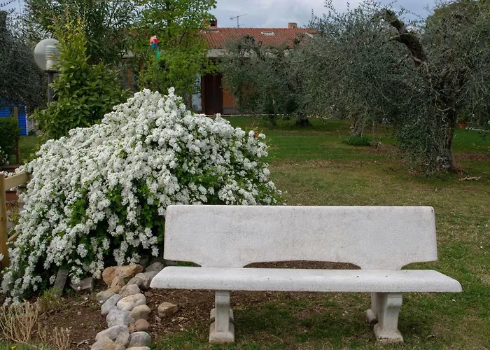 El Rincon Del Artista
